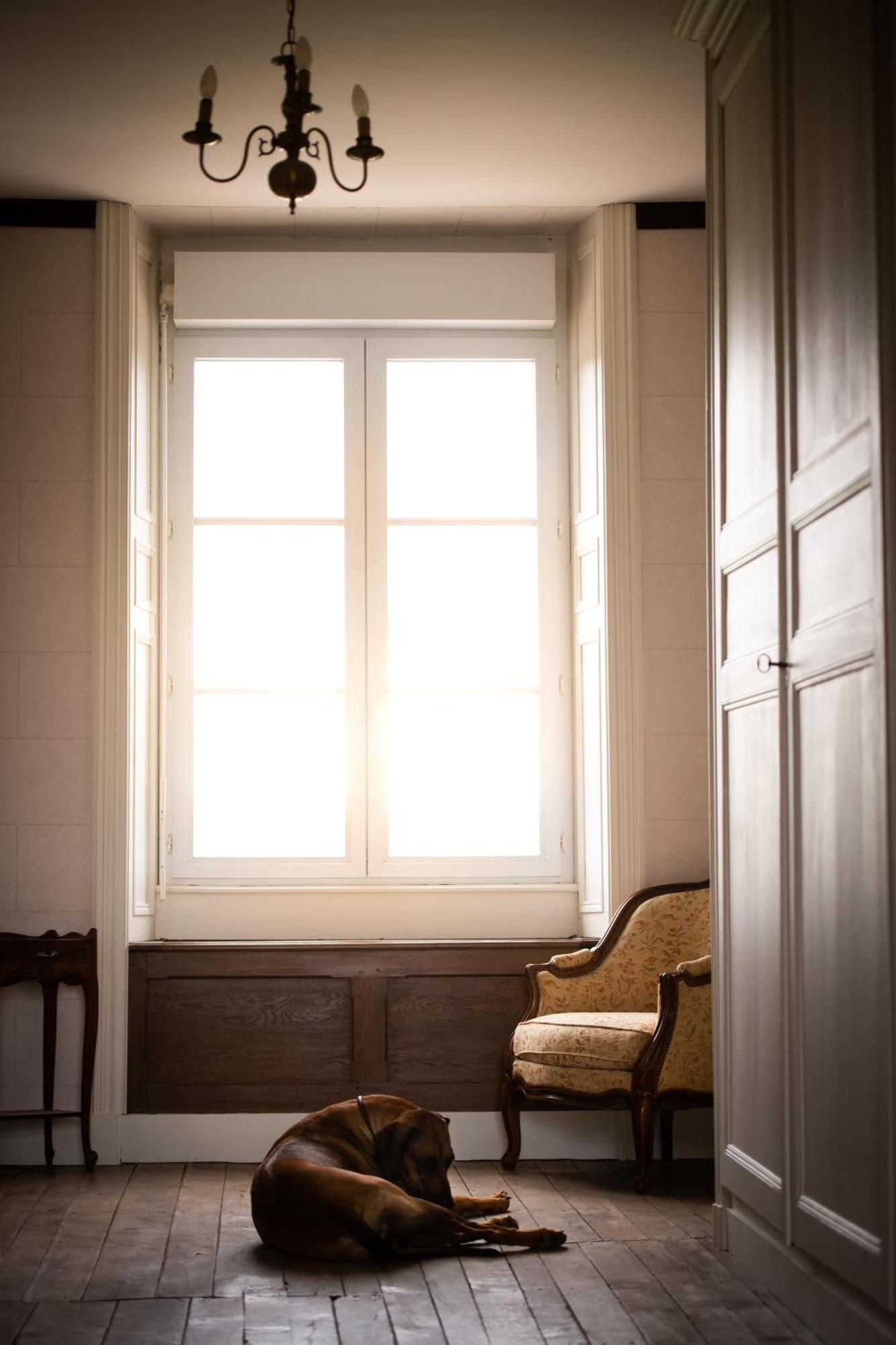 Domaine De La Briouse Bed & Breakfast Sanxay Dış mekan fotoğraf